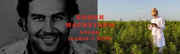 спиды Богородск