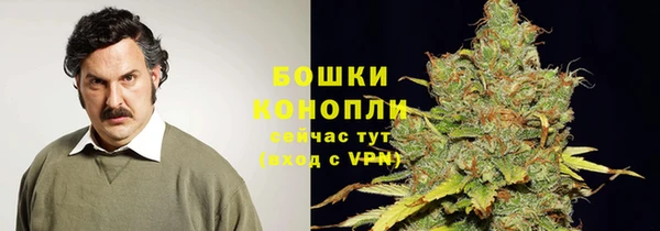 СК Богородицк
